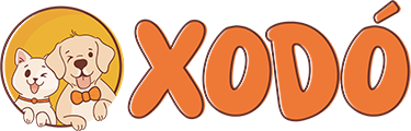 Xodó Rações